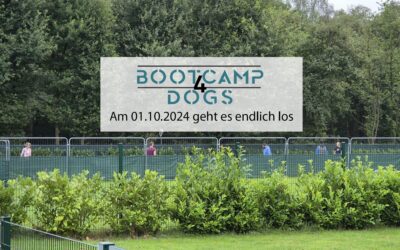 Neueröffnung unserer Hundeschule Bootcamp4Dogs in Voerde am Niederrhein